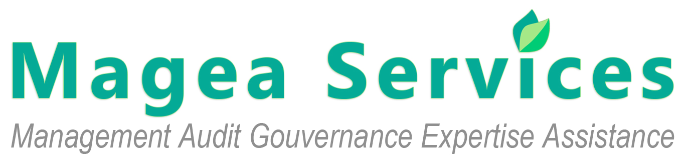 Magea services - Management Audit Gouvernance Expertise Assistance